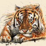 Papel Pintado Tigre Frontal